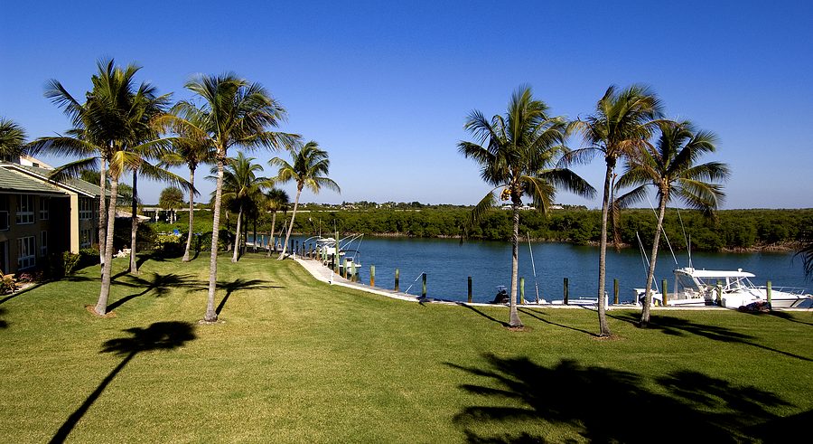 Water View
